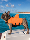 Shark Fin Dog Flotation Vest with Top Lift Handle